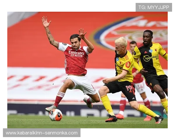 皇家备用平台与传统交易平台的区别与联系