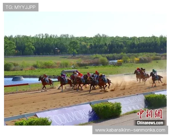 2024年马会投注网址官方地址正式公布,详细介绍官方入口及安全保障措施 2024年马会投注网址官方地址正式公布,详细介绍官方入口及安全保障措施