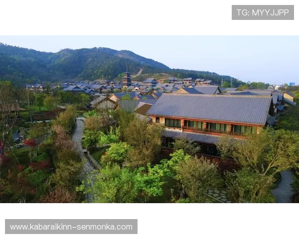 会理娱乐场所环境评测：优质娱乐体验背后的环境与设施保障