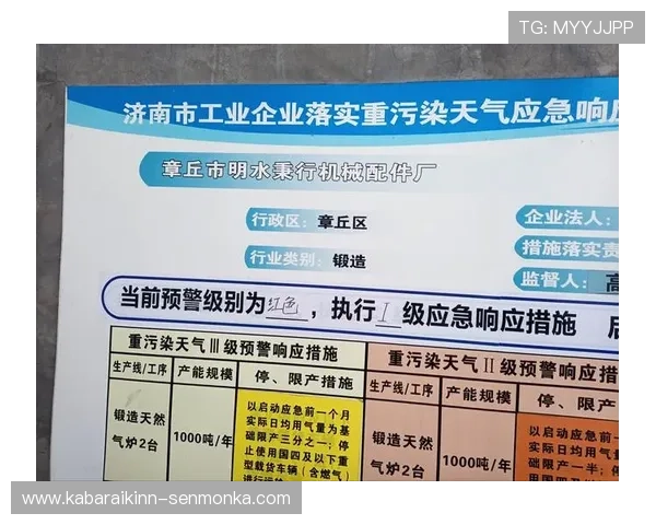 凯旋门官网注册流程详解及账号安全保障措施介绍