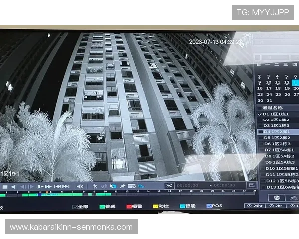 如何选择优质的六合彩集团网址，保障您的资金安全与投注体验