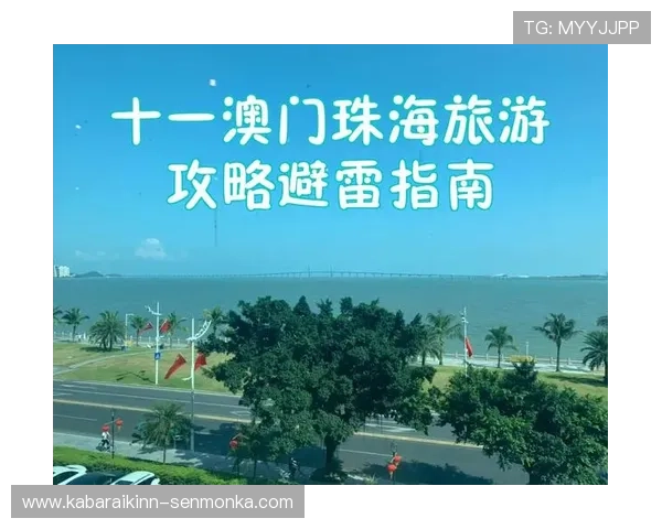 澳门新濠网站登录入口详细指南，帮助新手快速注册登录享受丰富游戏娱乐内容